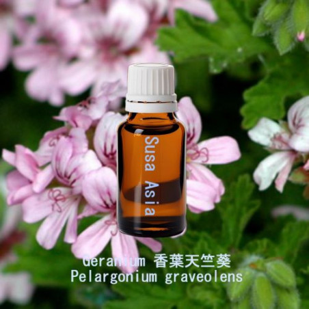 單方精油 Geranium 香葉天竺葵