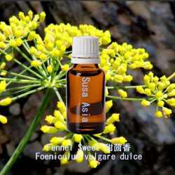 單方精油 Fennel Sweet 甜茴香