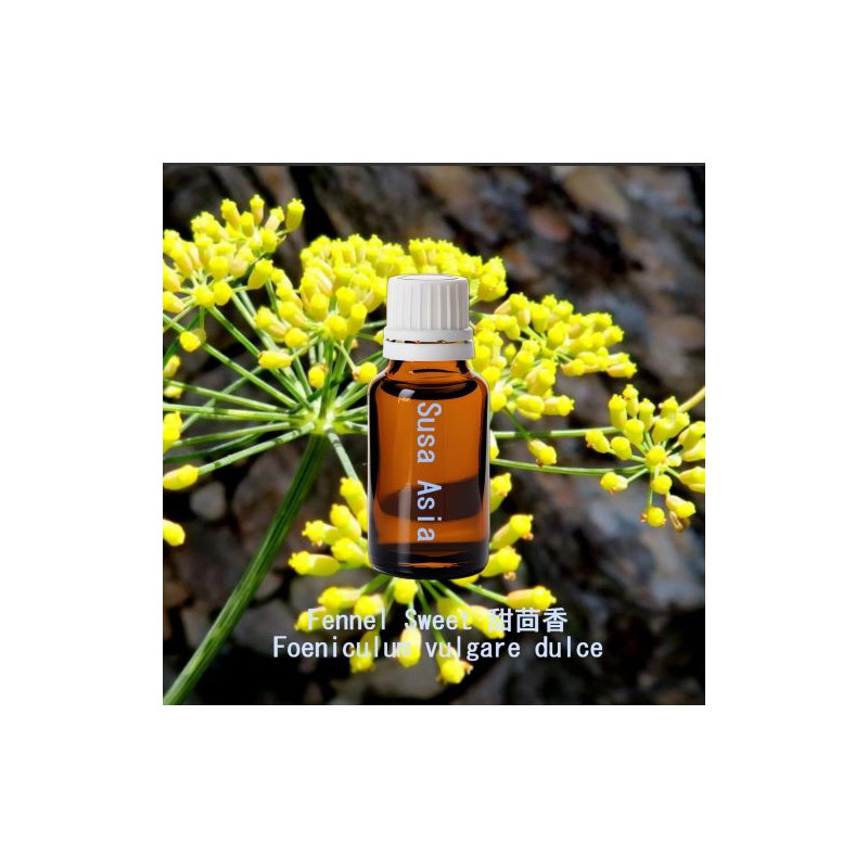 單方精油 Fennel Sweet 甜茴香