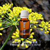 單方精油 Fennel Sweet 甜茴香
