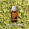 單方精油 Fennel Sweet 甜茴香