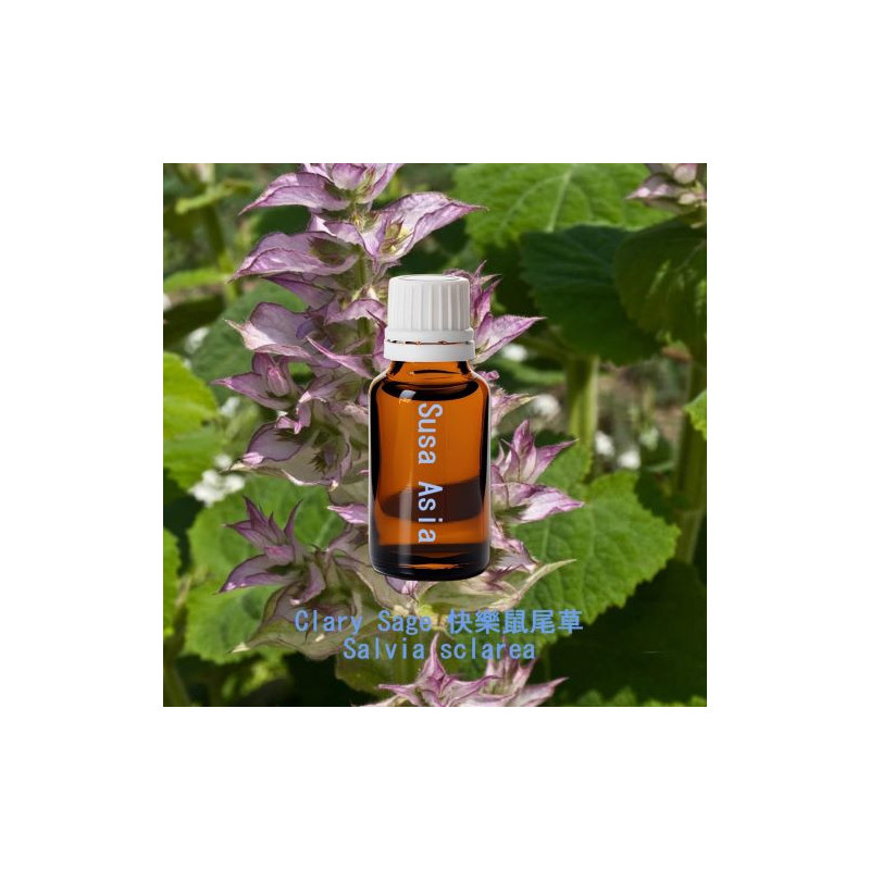 單方精油 Clary Sage 快樂鼠尾草