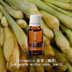 Citronella - Cymbopogon winterianus jewitt