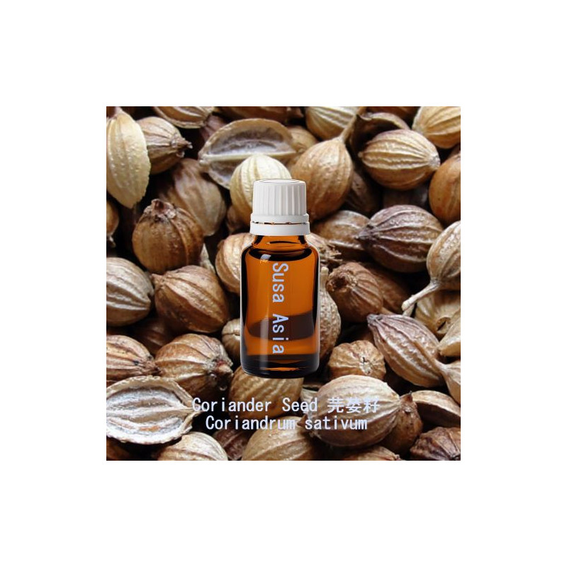 Coriander - Coriandrum sativum