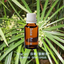Cypriol - Cyperus scariosus