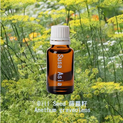 Dill weed - Anethum graveolens