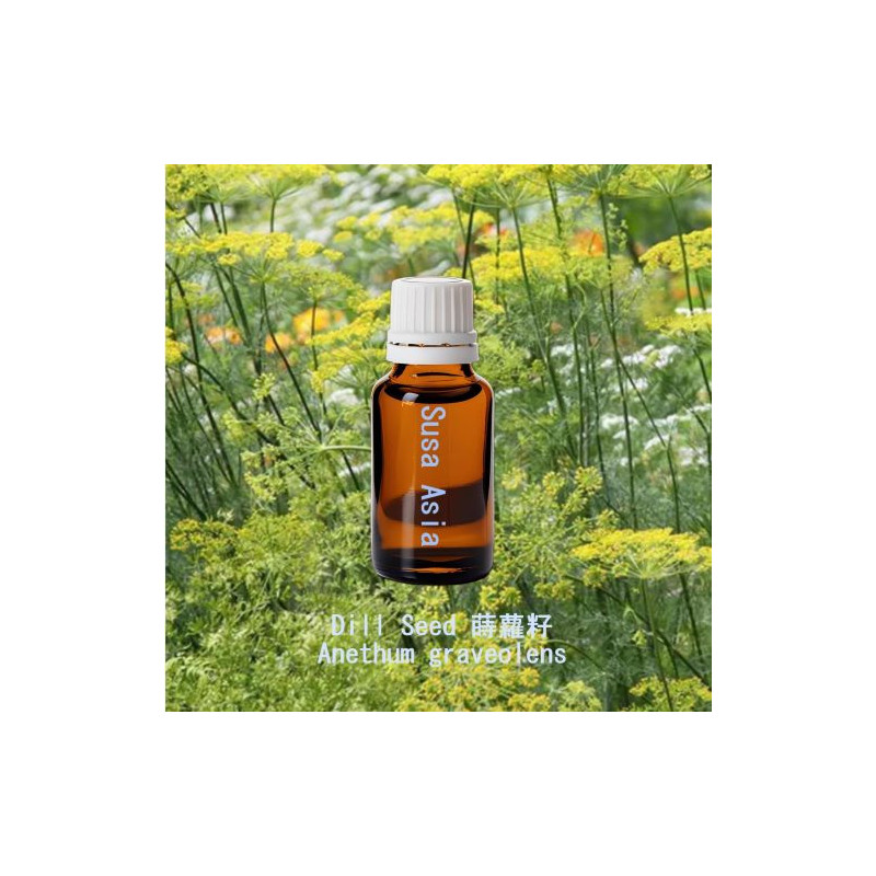 單方精油 Dill Seed 蒔蘿籽