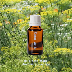 單方精油 Anise 洋茴香