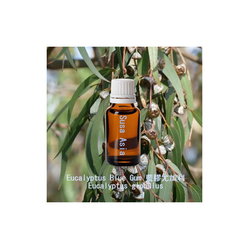 單方精油 Eucalyptus Blue Gum 藍膠尤加利