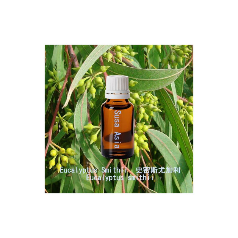 單方精油 Eucalyptus Smithii  史密斯尤加利