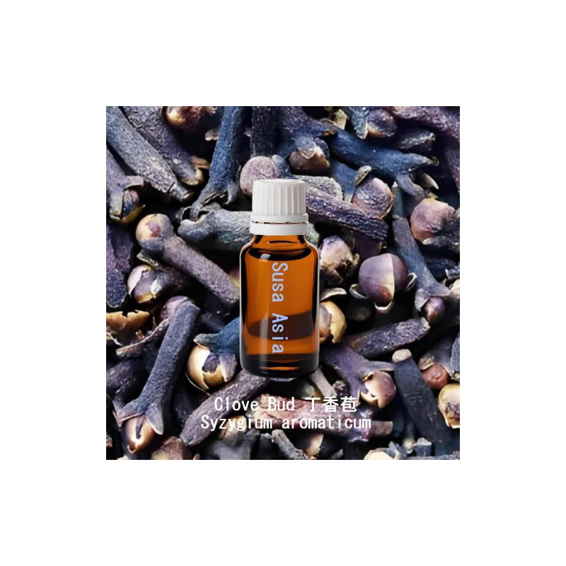 單方精油 Clove Bud 丁香苞