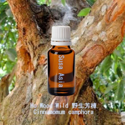 單方精油 Ho Wood Wild 野生芳樟