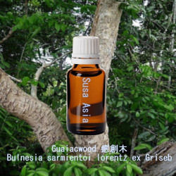 單方精油 Guaiacwood 癒創木/玉檀木