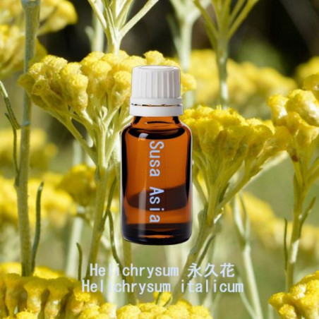 單方精油 Helichrysum 永久花