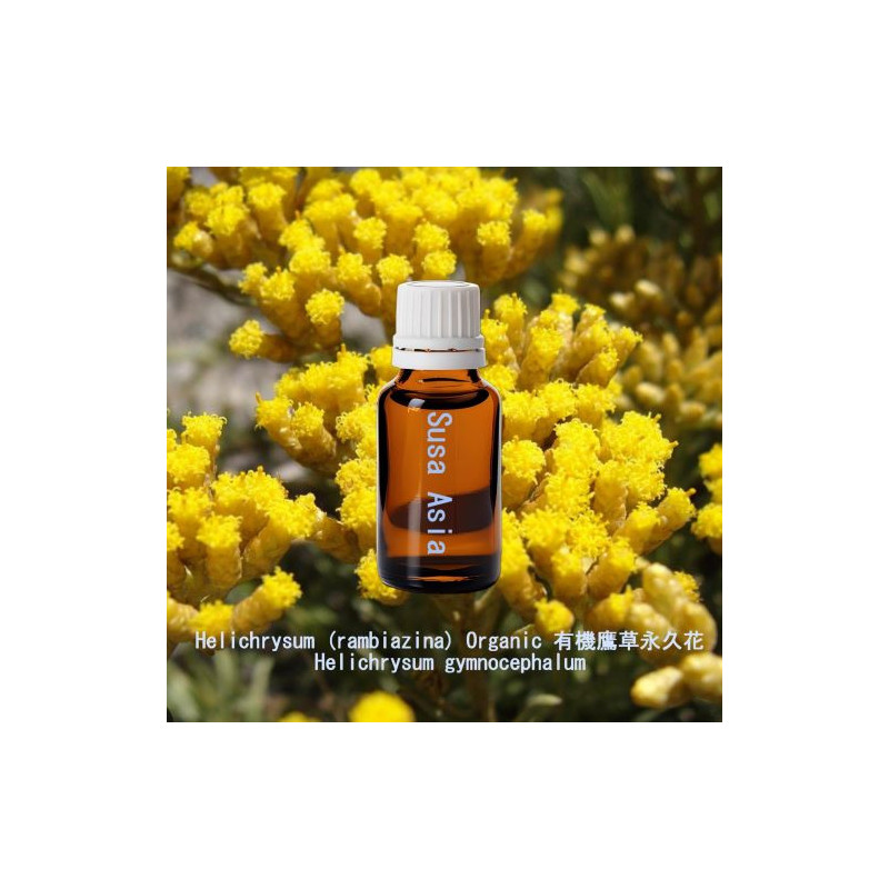 單方精油 Helichrysum (rambiazina) Organic 有機鷹草永久花