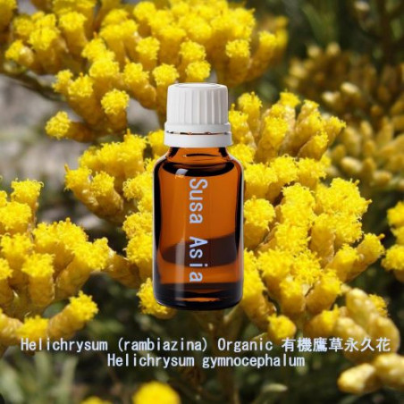 單方精油 Helichrysum (rambiazina) Organic 有機鷹草永久花