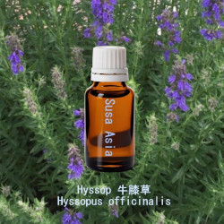 單方精油 Hyssop 牛膝草