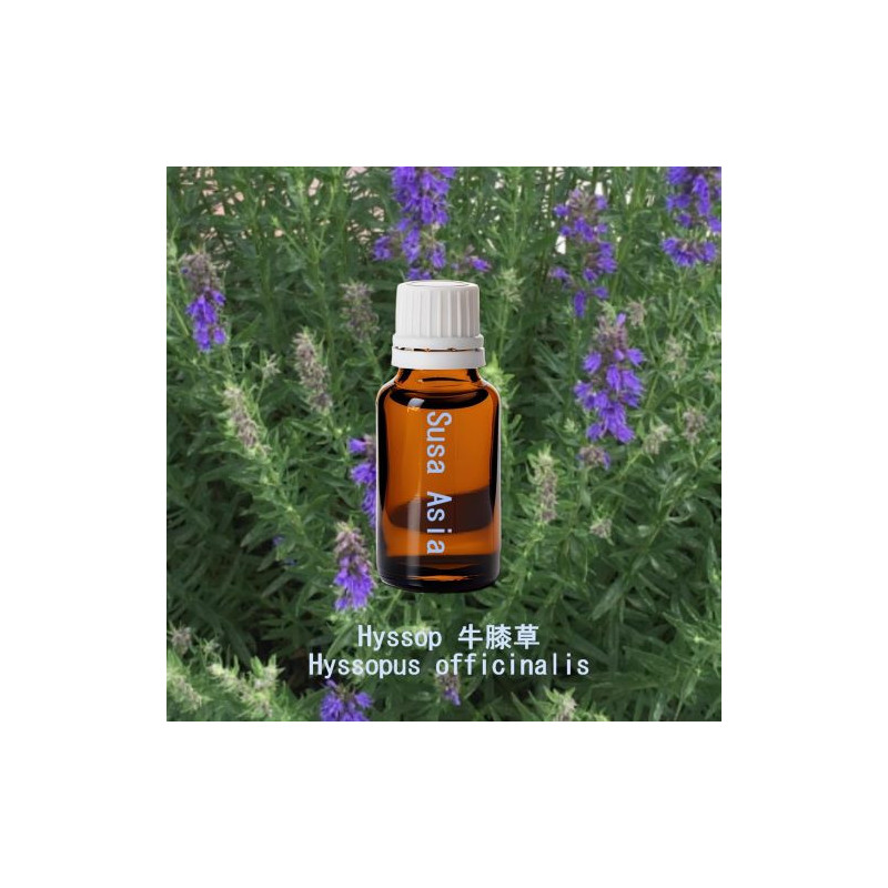單方精油 Hyssop 牛膝草