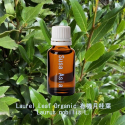單方精油 Laurel Leaf Organic 有機月桂葉