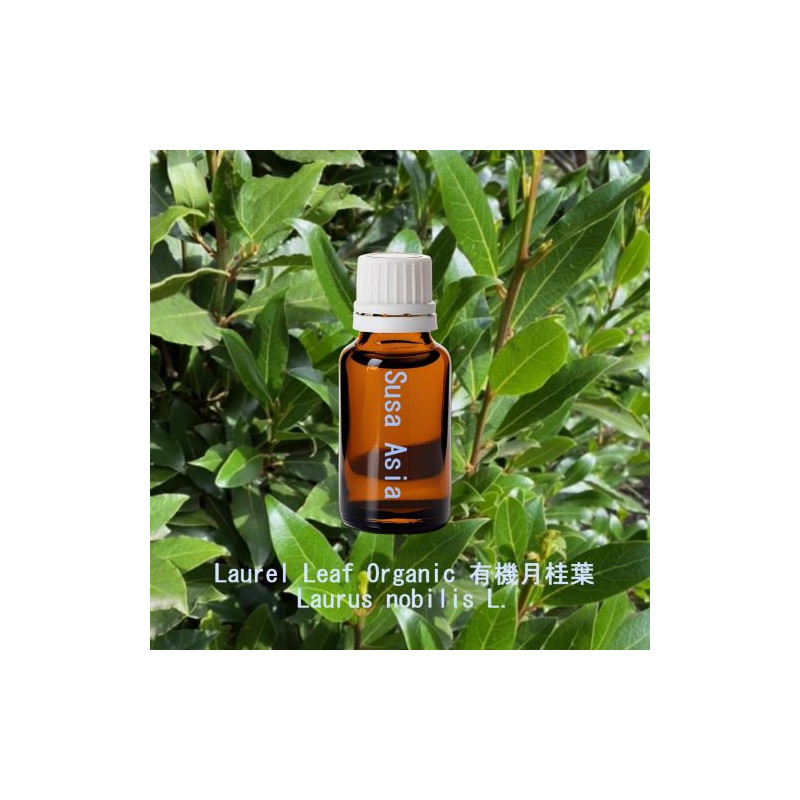 單方精油 Laurel Leaf Organic 有機月桂葉