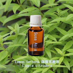 單方精油 Lemon Verbena 檸檬馬鞭草