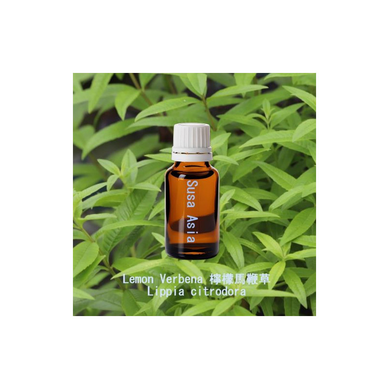 單方精油 Lemon Verbena 檸檬馬鞭草