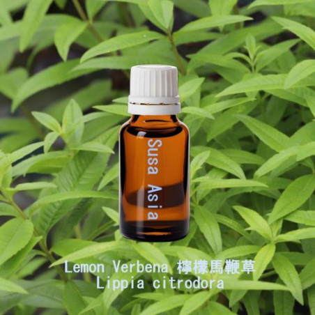 單方精油 Lemon Verbena 檸檬馬鞭草