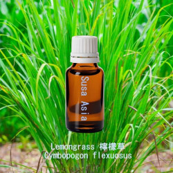單方精油 Lemongrass 檸檬草