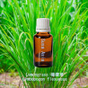 單方精油 Lemongrass 檸檬草