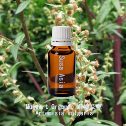 單方精油 Mugwort Organic 有機艾草
