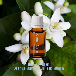 單方精油 Neroli 橙花
