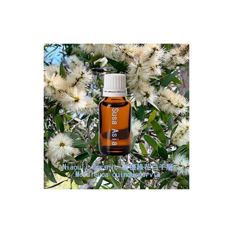 單方精油 Niaouli Organic 有機綠花白千層