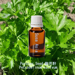 單方精油 Parsley Seed 歐芹籽