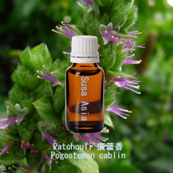 單方精油 Patchouli 廣藿香