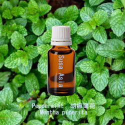 單方精油 Peppermint  胡椒薄荷