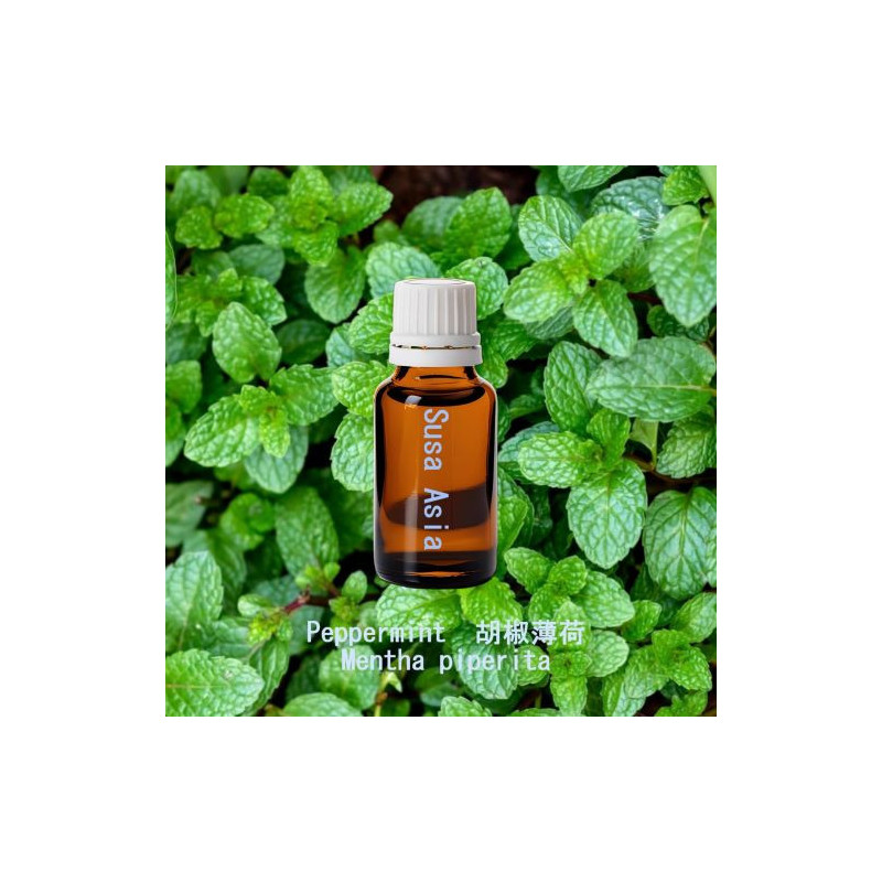 單方精油 Peppermint  胡椒薄荷