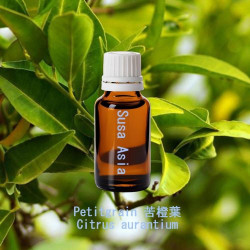 單方精油 Petitgrain 苦橙葉