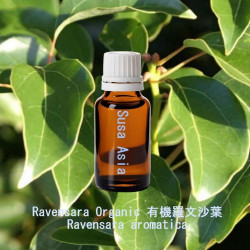 單方精油 Ravensara Organic 有機羅文沙葉