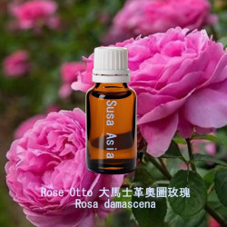單方精油 Rose Otto 大馬士革奧圖玫瑰
