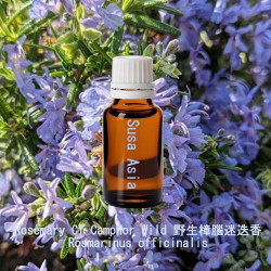 單方精油 Rosemary CT Camphor Wild 野生樟腦迷迭香