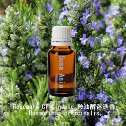 單方精油 Rosemary CT Cineole 鞍油醇迷迭香
