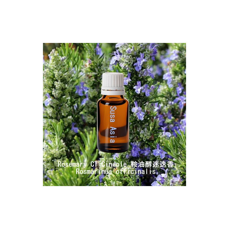 Rosemary CT Cineole - Rosmarinus officinalis