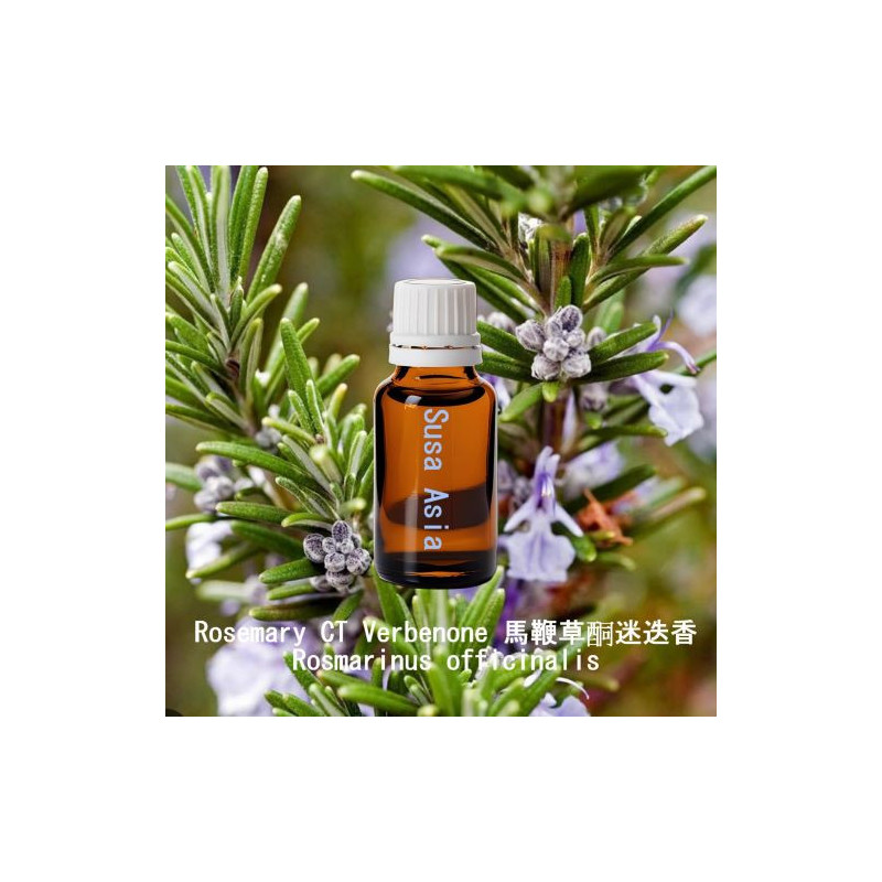 Rosemary CT Verbenone - Rosmarinus officinalis