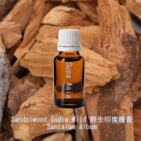 Sandalwood India Wild - Santalum album