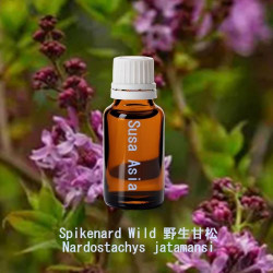 單方精油 Spikenard Wild 野生甘松