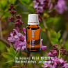 單方精油 Spikenard Wild 野生甘松