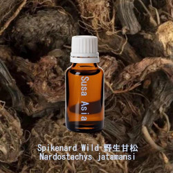 單方精油 Spikenard Wild 野生甘松