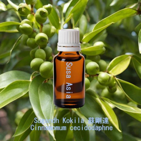 單方精油 Sugandh Kokila 蘇剛達