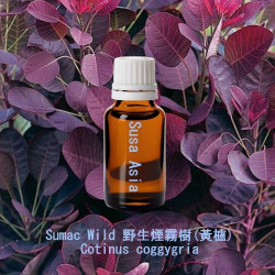 單方精油 Sumac Wild 野生煙霧樹(黃櫨)