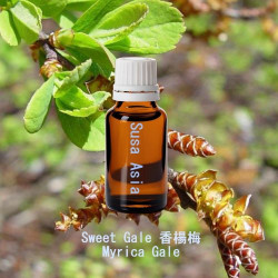 單方精油 Sweet Gale 香楊梅